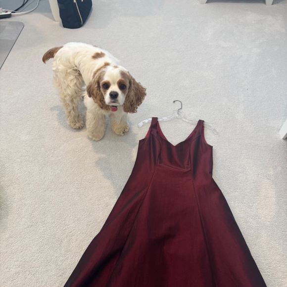 Burgundy evening dress. ABS Evening by Allen Schwartz. Size 6. Cocker approved . - Picture 2 of 5